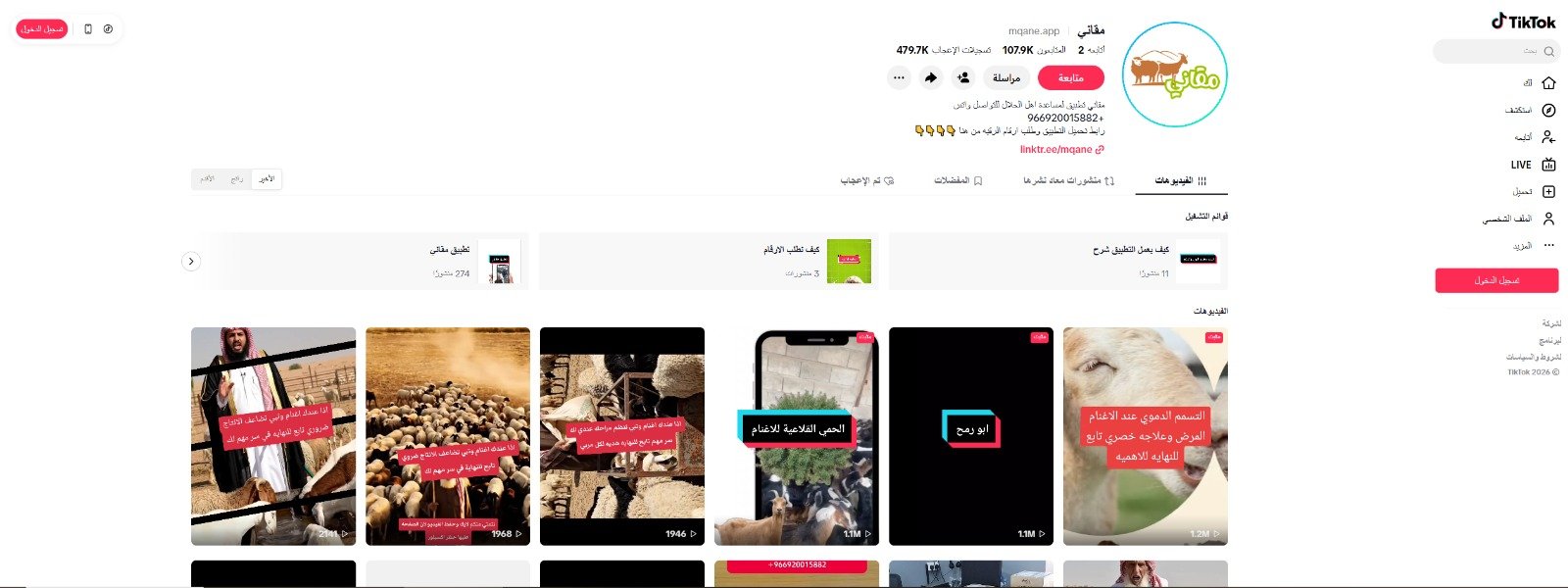تيك توك مقاني